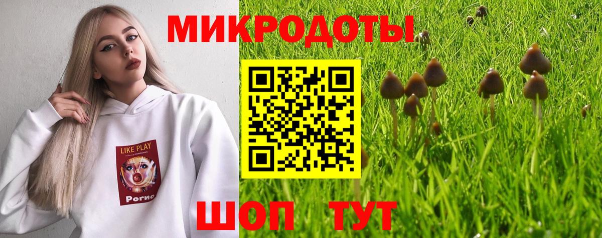 Псилоцибиновые грибы Cubensis Асбест