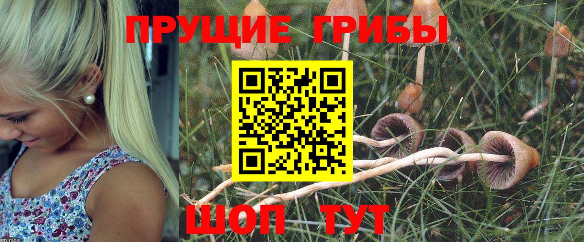 Псилоцибиновые грибы мухоморы  Галлюциногенные грибы GOLDEN TEACHER  Асбест  Вход с VPN 